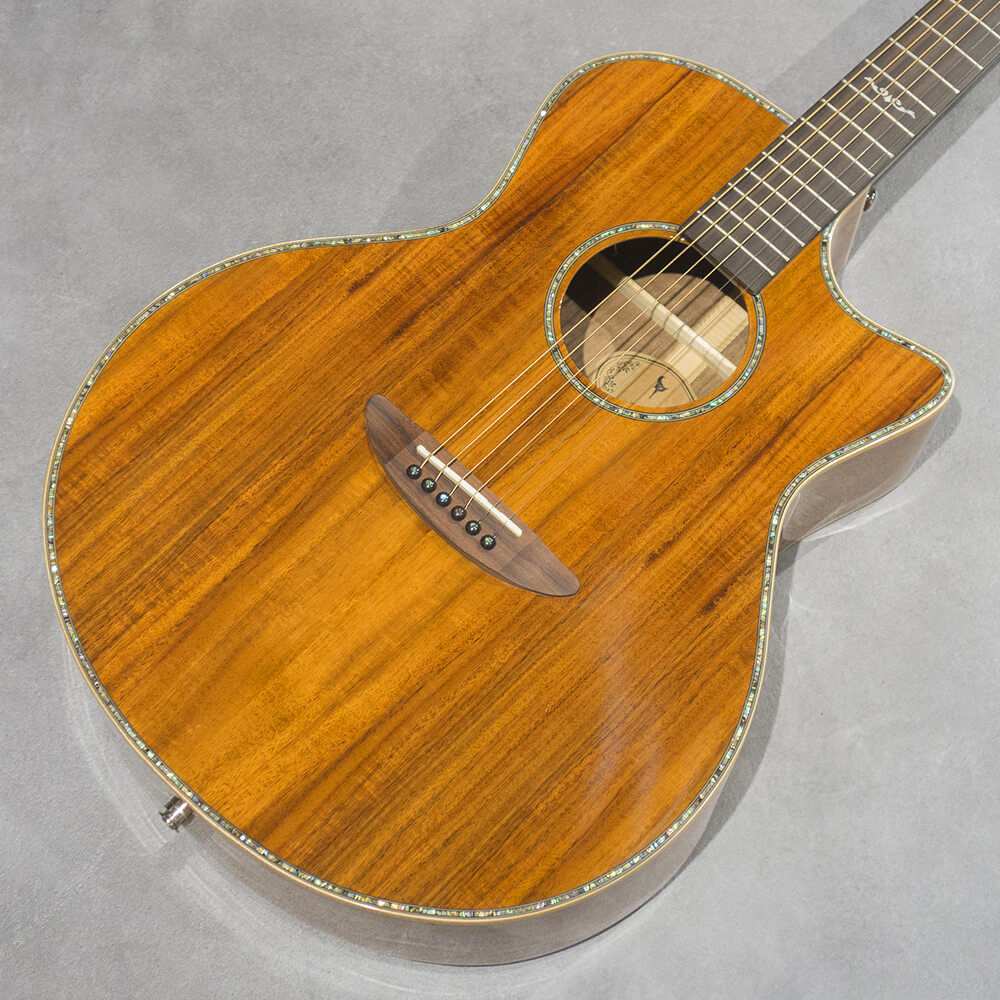 DCT Japan <br>GR-645KCE