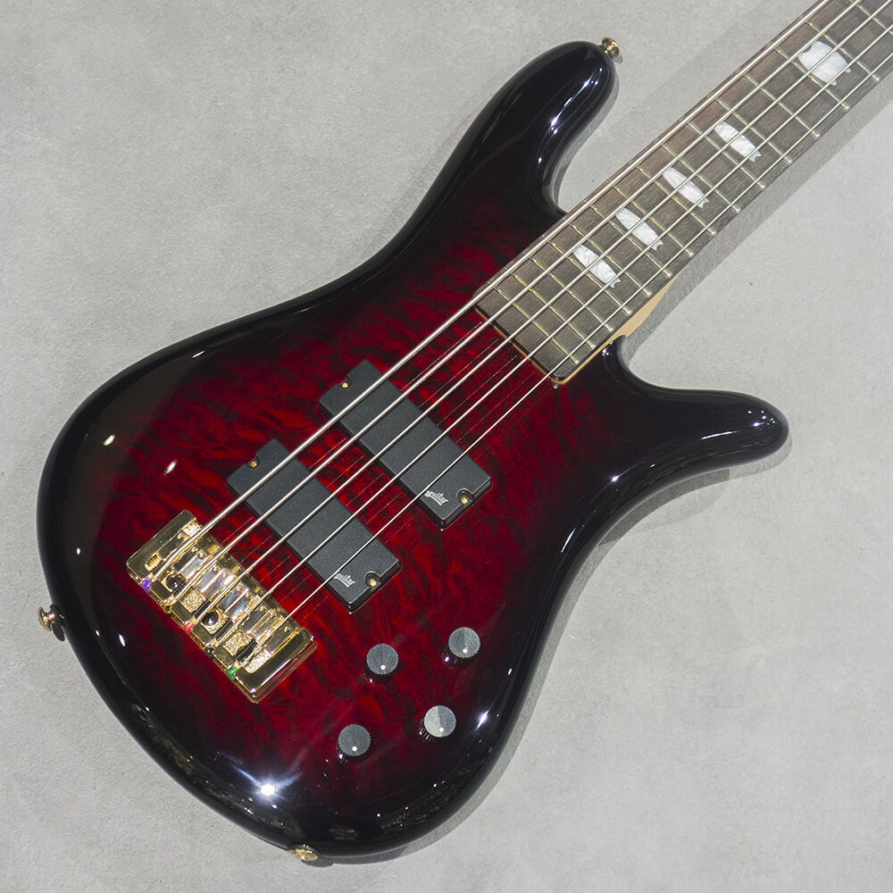Spector <br>NS Icon Bolt-On 5 Black Cherry
