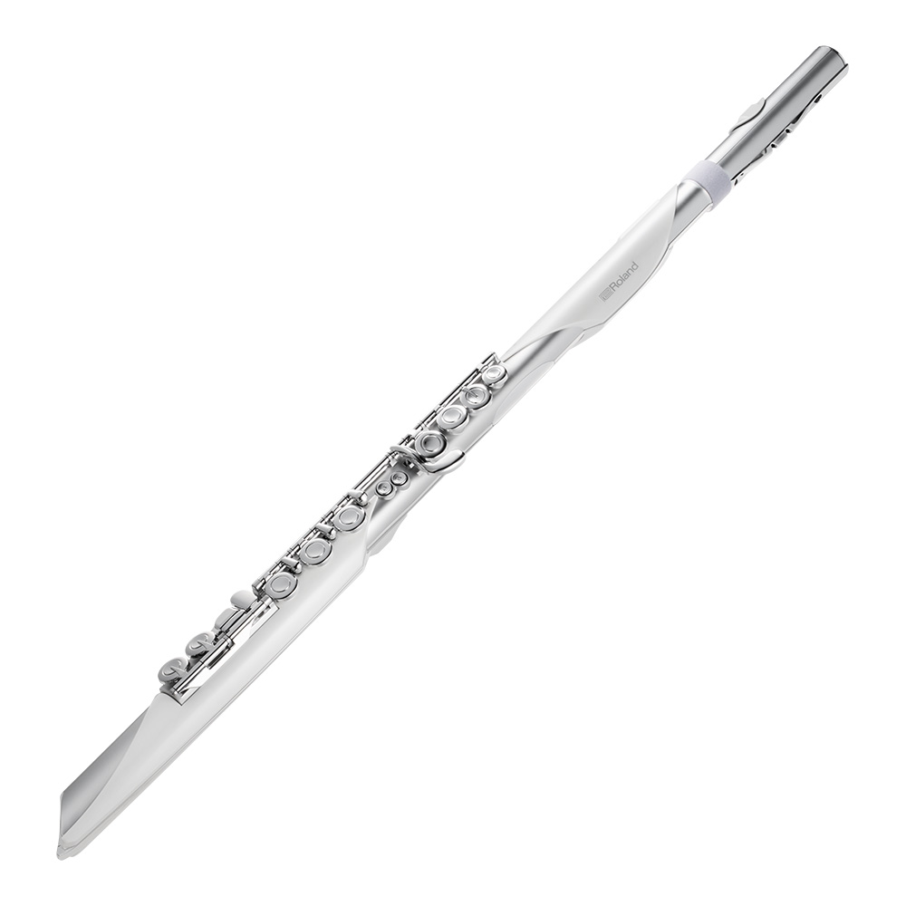 Roland <br>Aerophone Brisa Digital Wind Instrument [AE-BRISA]