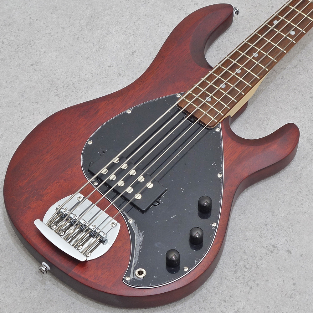 Sterling by MUSIC MAN <br>S.U.B. Series StingRay Ray5 Walnut Satin