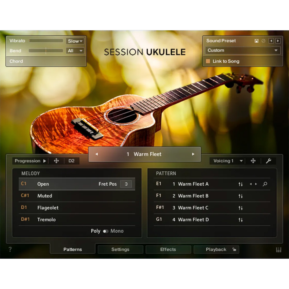 Native Instruments <br>Session Ukulele