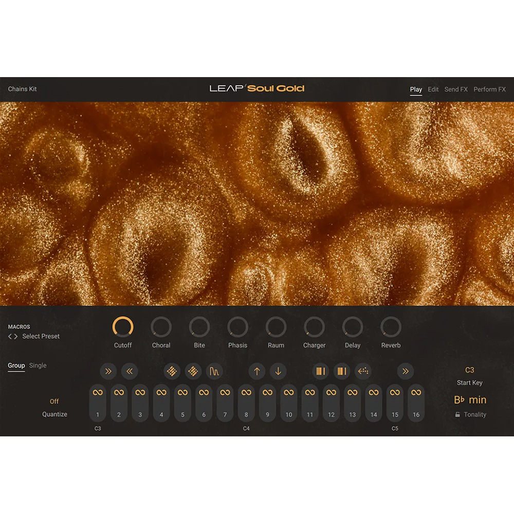 Native Instruments <br>Leap Expansion - Soul Gold