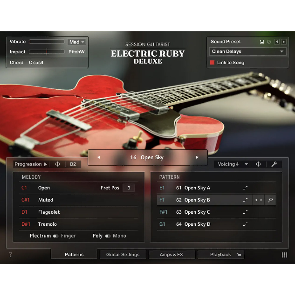 Native Instruments <br>Session Guitarist - Electric Ruby Deluxe