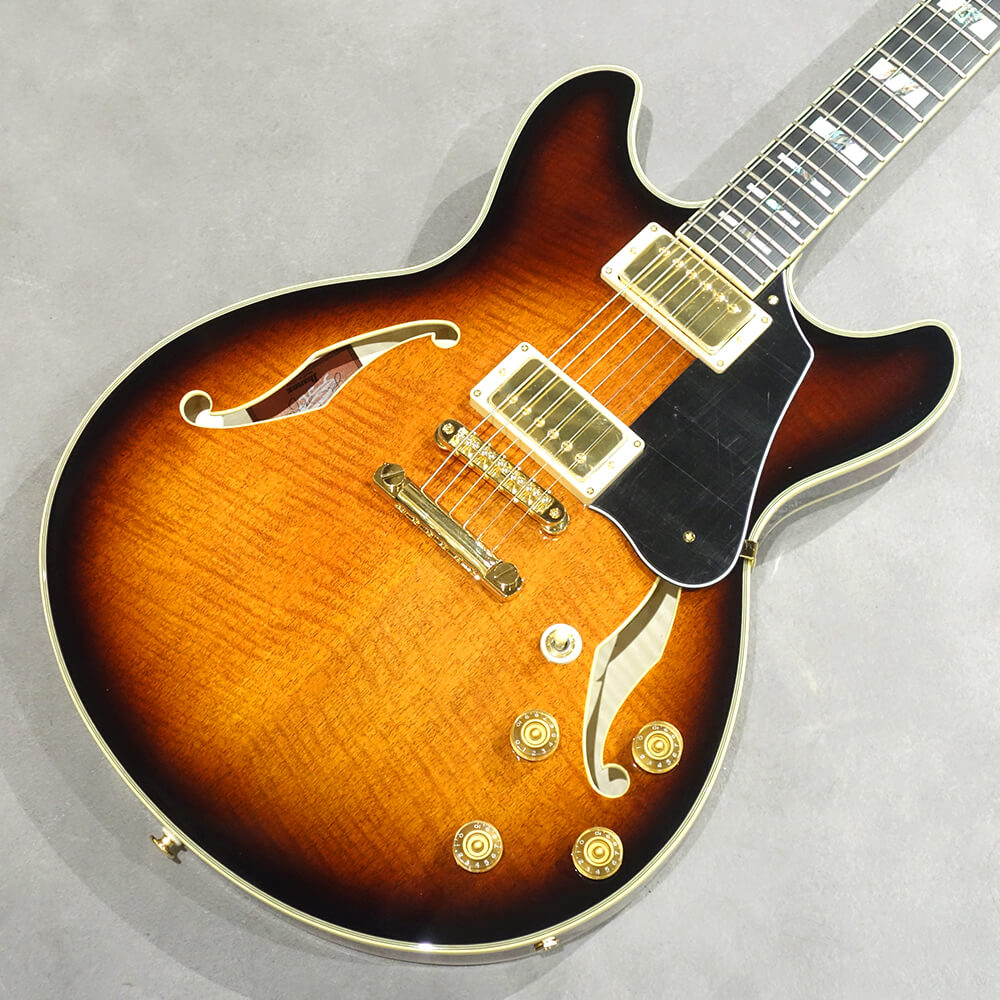 Ibanez <br>SIGNATURE MODEL John Scofield JSM100-VT