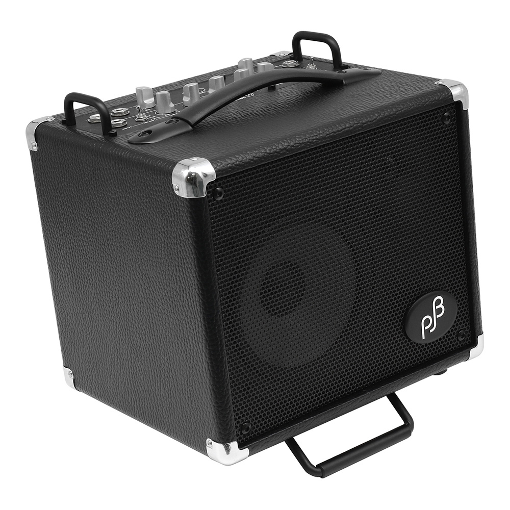 Phil Jones Bass (PJB) <br>Bass Engine 17