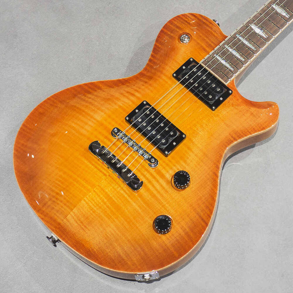 FUJIGEN (FGN) <br>Expert FLAME EFL-FM Vintage Violin [VV]