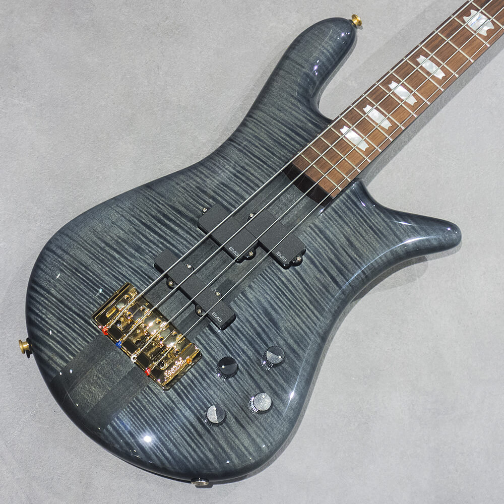 Spector <br>EURO 4 DW Black Stain Gloss