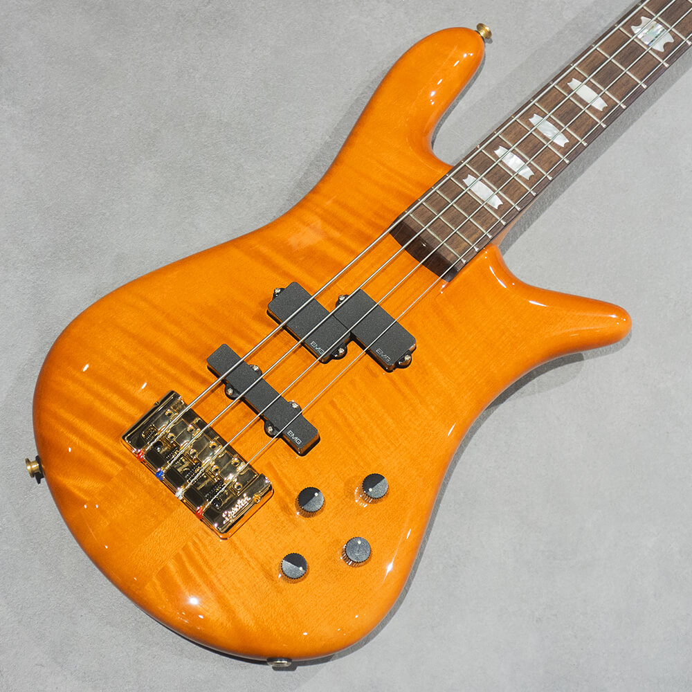 Spector <br>EURO 4 DW Amber Stain Gloss