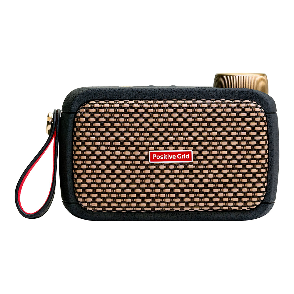 Positive Grid <br>Spark GO