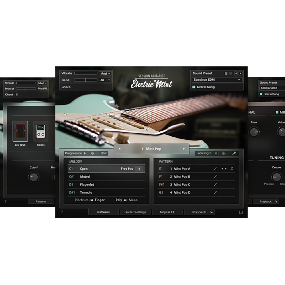 Native Instruments <br>Session Guitarist - Electric Mint