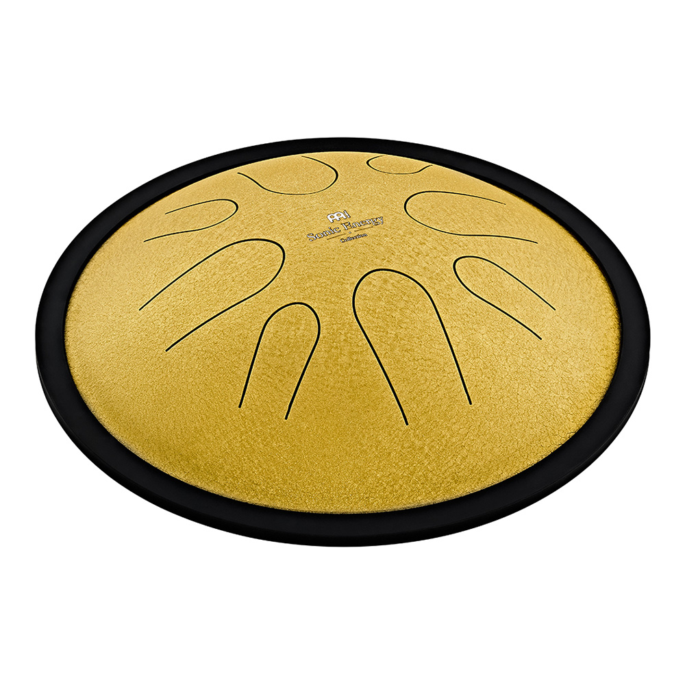 MEINL Sonic Energy <br>10" Compact Steel Tongue Drum, D Minor, 8 Notes, 432 Hz, Gold [CSTD3G]
