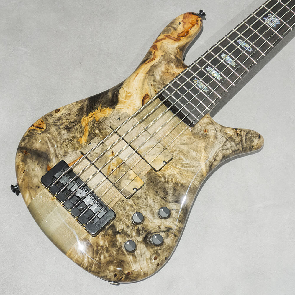 Spector <br>USA Custom Shop NS-6 BEB/RW M/EB MH EMG NTLG #2220