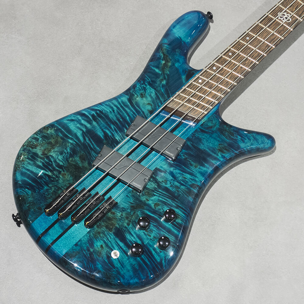 Spector <br>NS DIMENSION MS 4 Gloss BKBL
