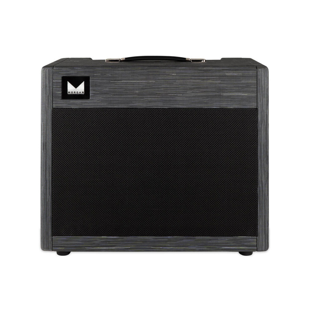 Morgan Amplification <br>DUAL 20 Combo