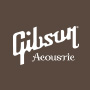 Gibson Acoustic