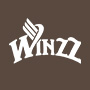 WINZZ Guitars