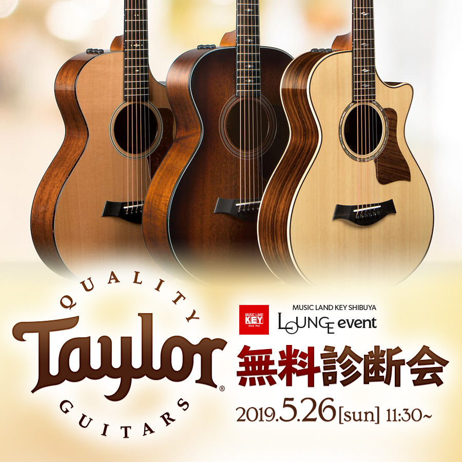 Taylor Guitars 無料診断会